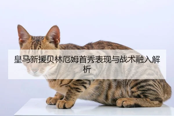 皇马新援贝林厄姆首秀表现与战术融入解析